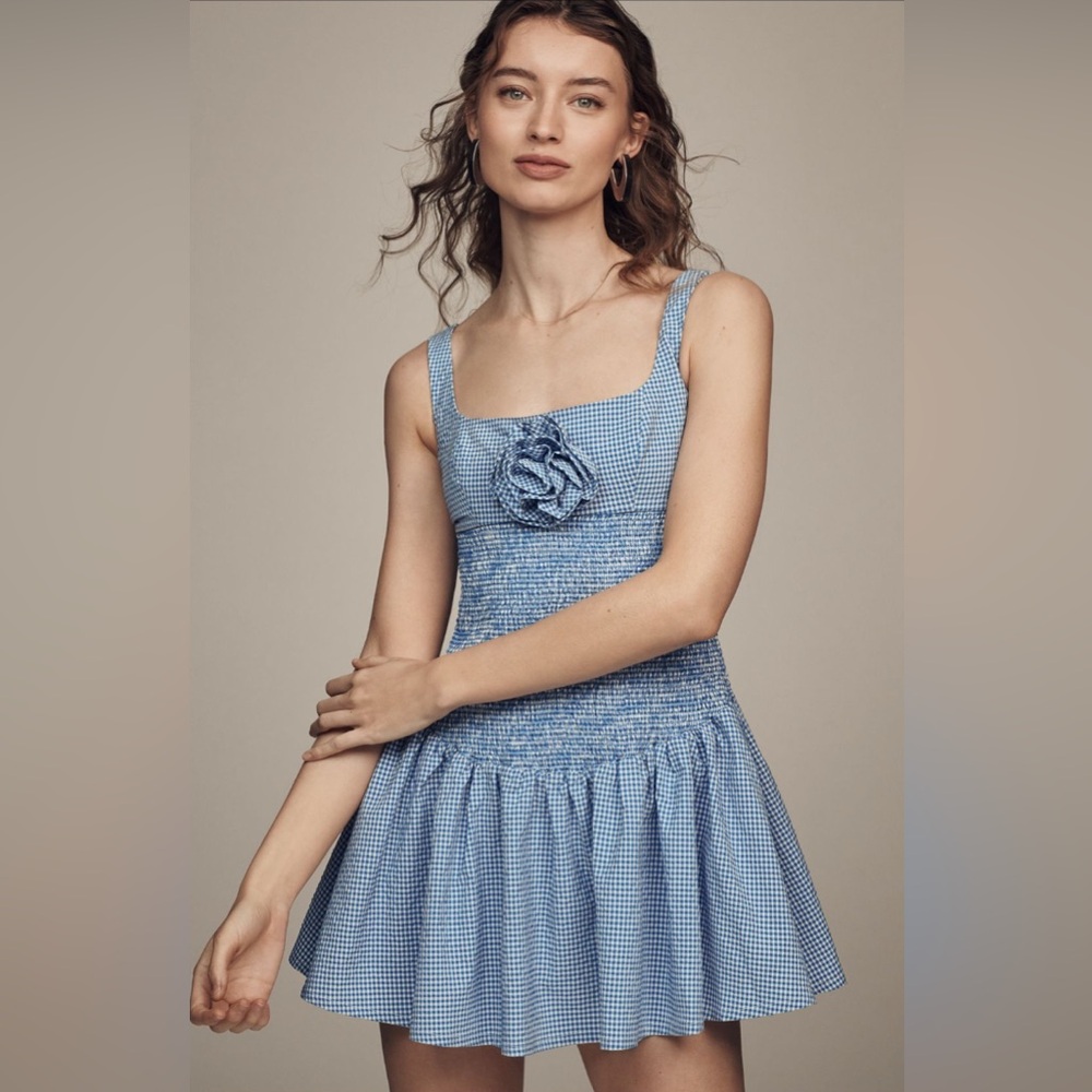 Anthropologie Maeve Smocked Rosette Drop-Waist Mini Dress